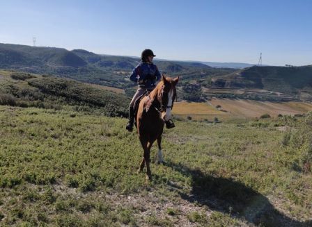 Balade a cheval, nov. 2022 Balade a cheval